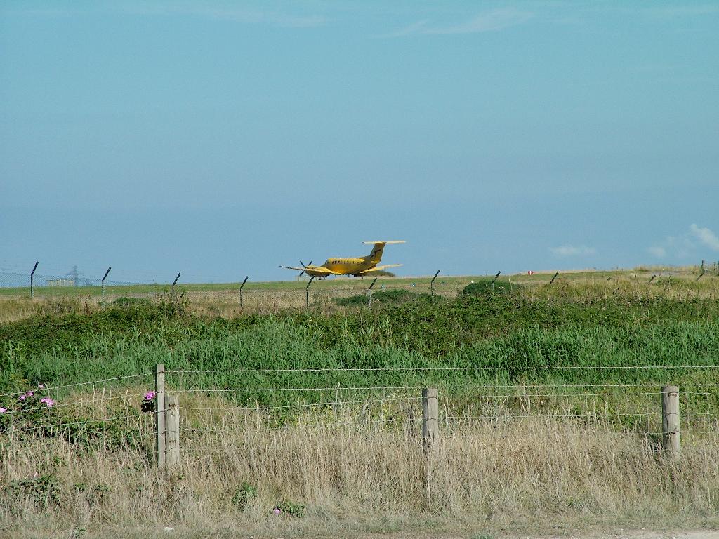 Click now to see this image full size.