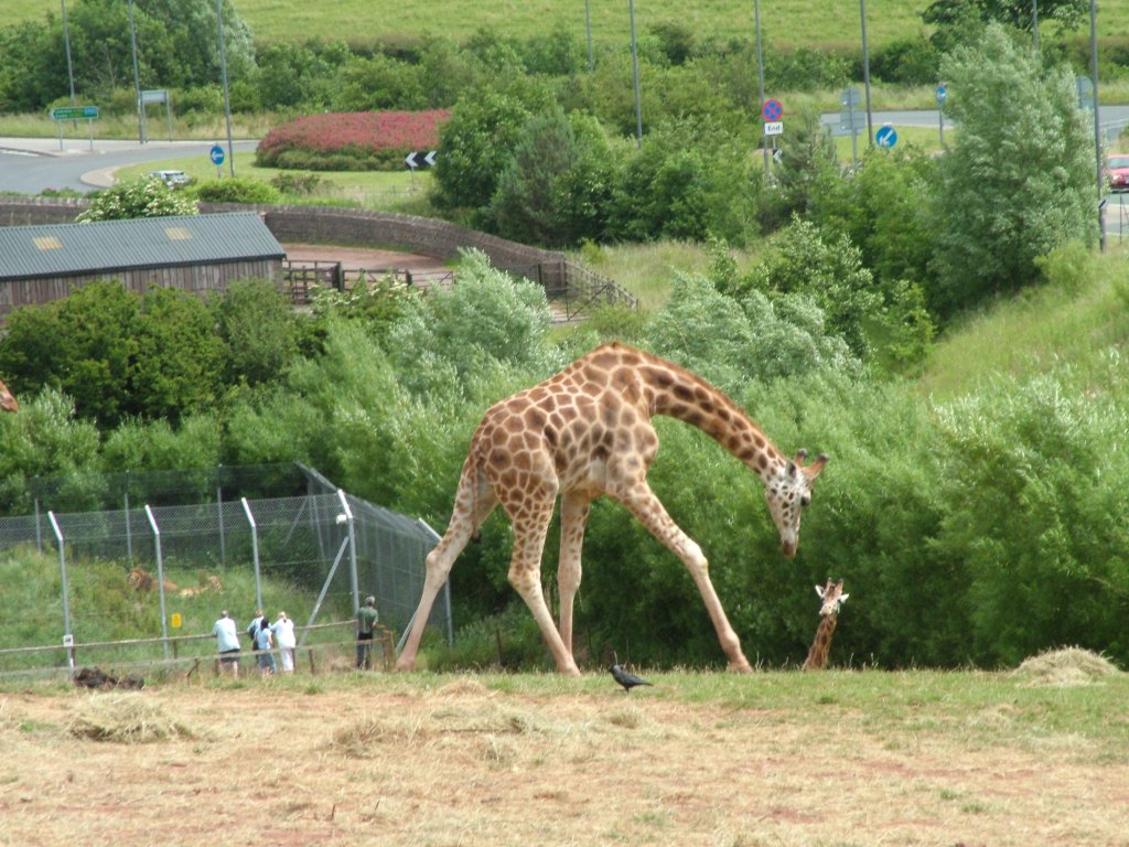 Click now to see this image full size.