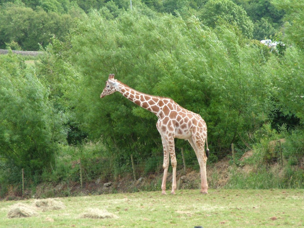 Click now to see this image full size.