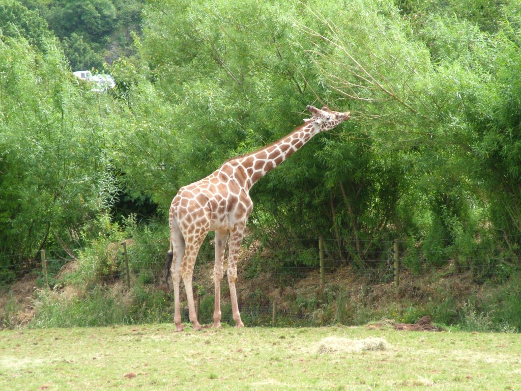 Click now to see this image full size.