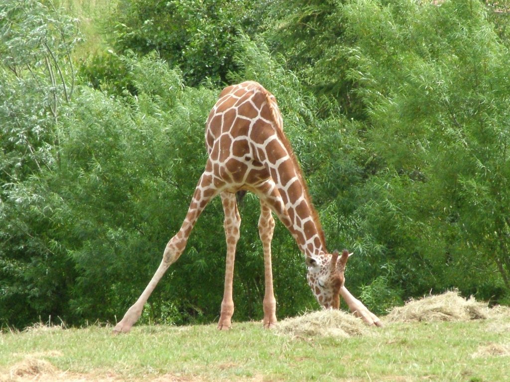 Click now to see this image full size.