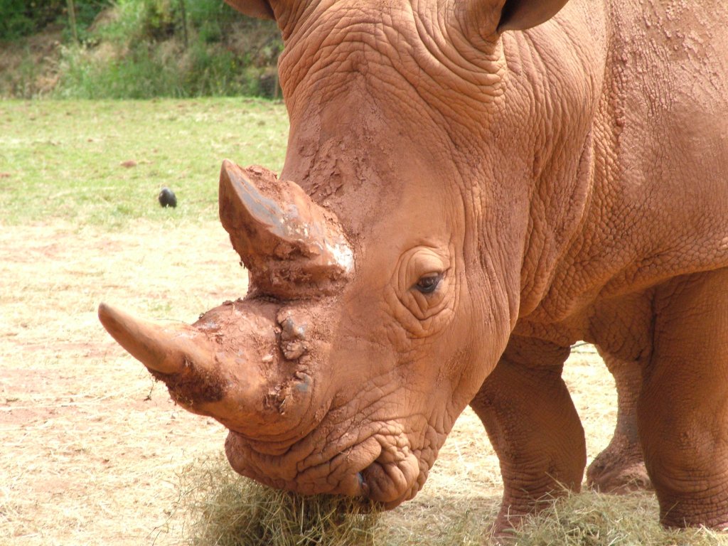 Click now to see this image full size.