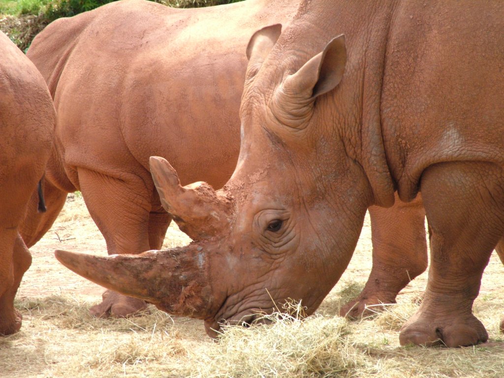 Click now to see this image full size.