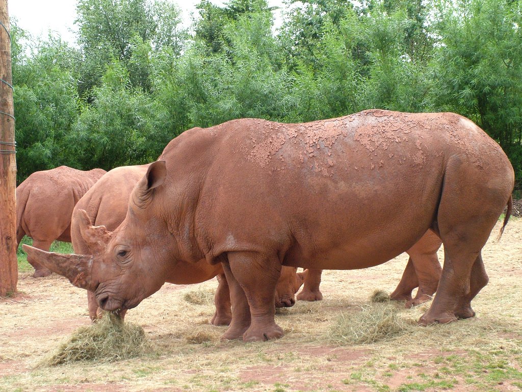 Click now to see this image full size.