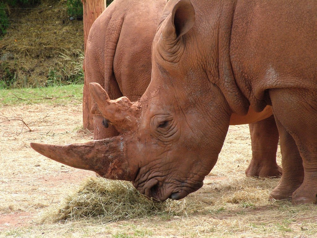 Click now to see this image full size.