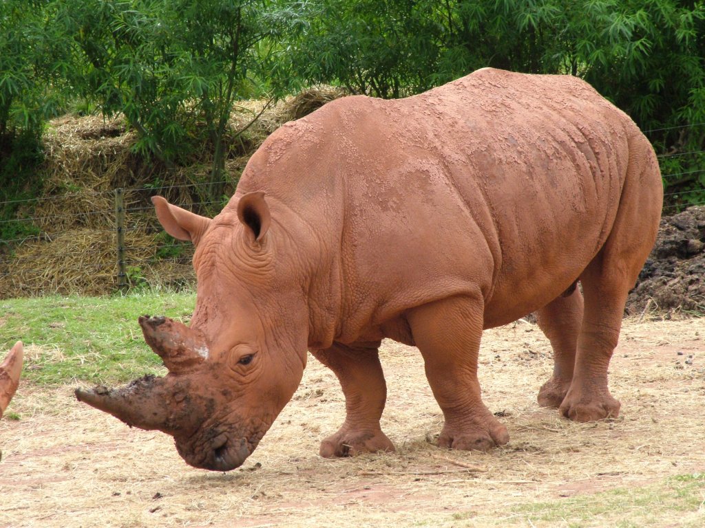 Click now to see this image full size.