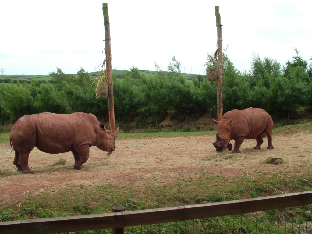 Click now to see this image full size.