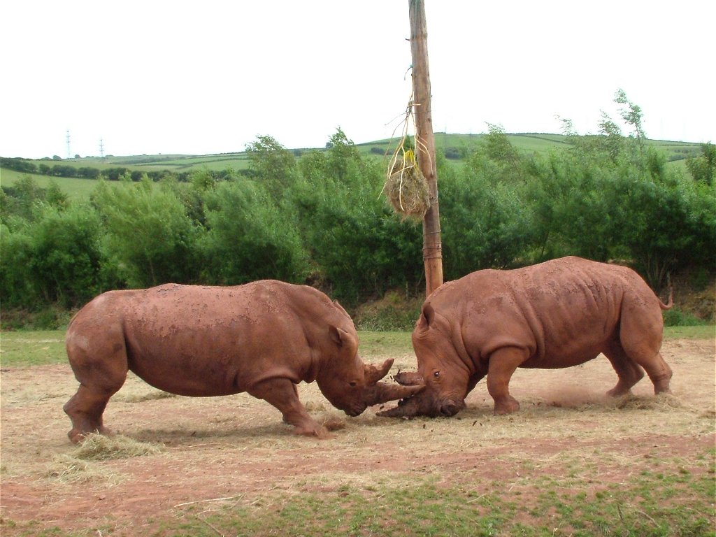 Click now to see this image full size.