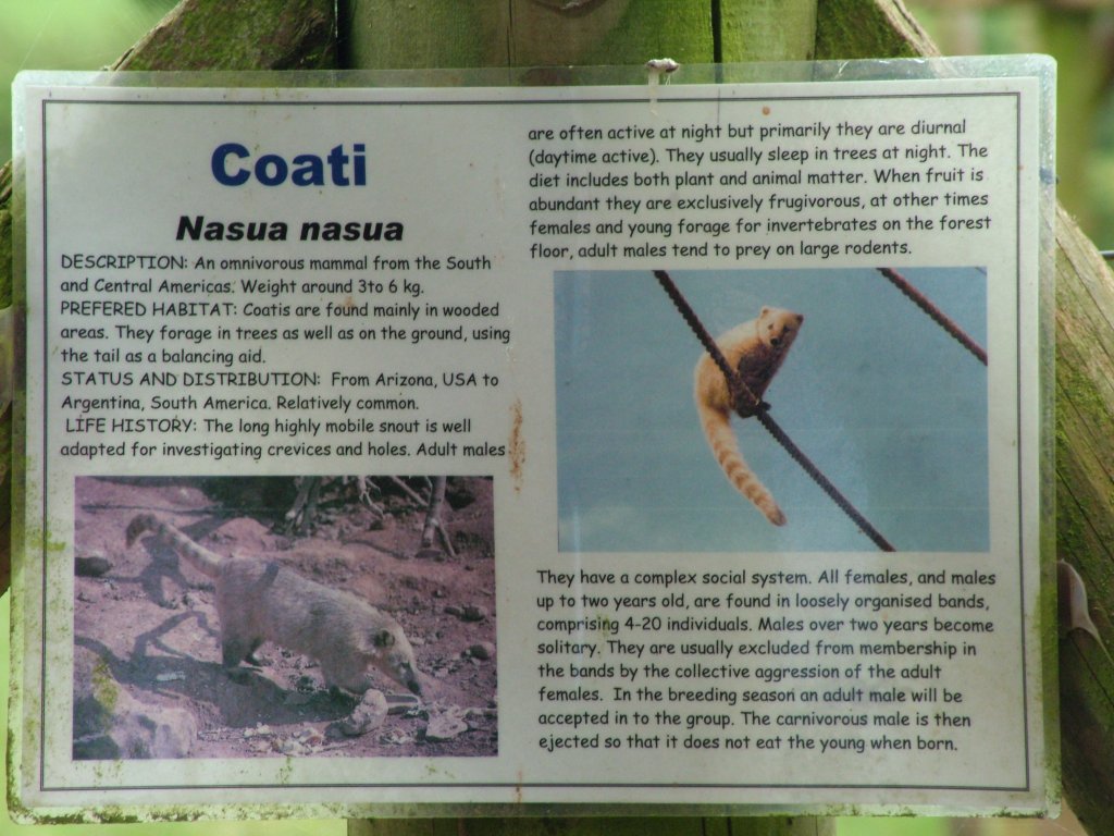 Click now to see this image full size.