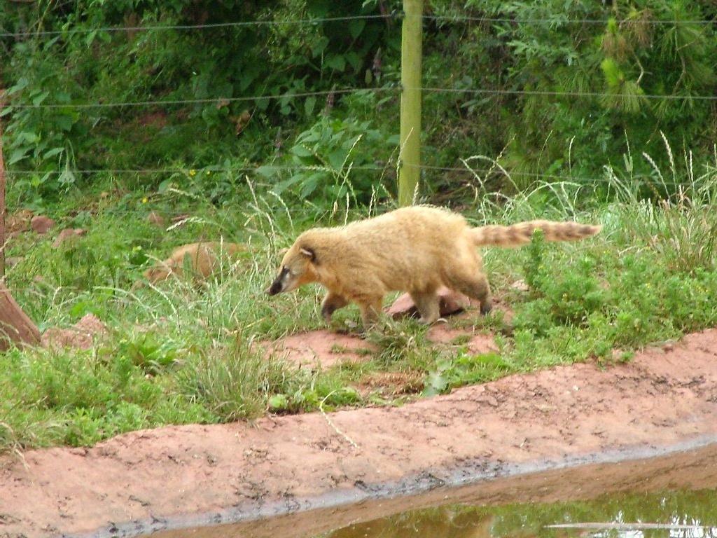 Click now to see this image full size.