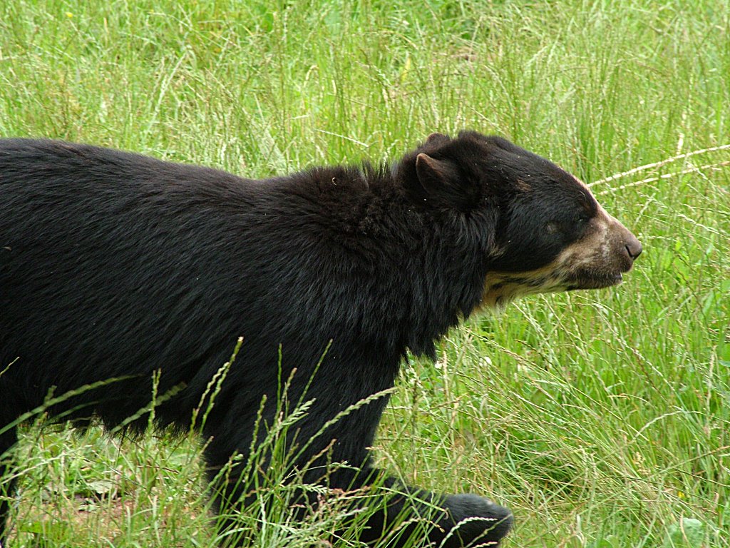 Click now to see this image full size.