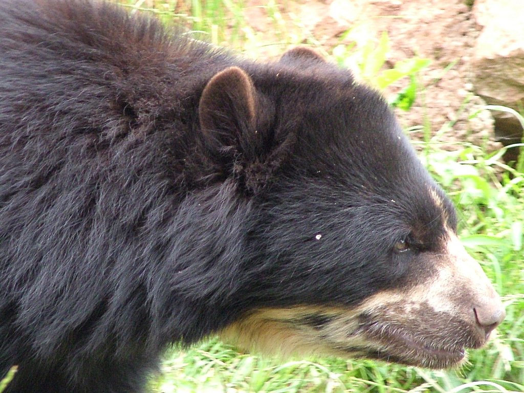 Click now to see this image full size.