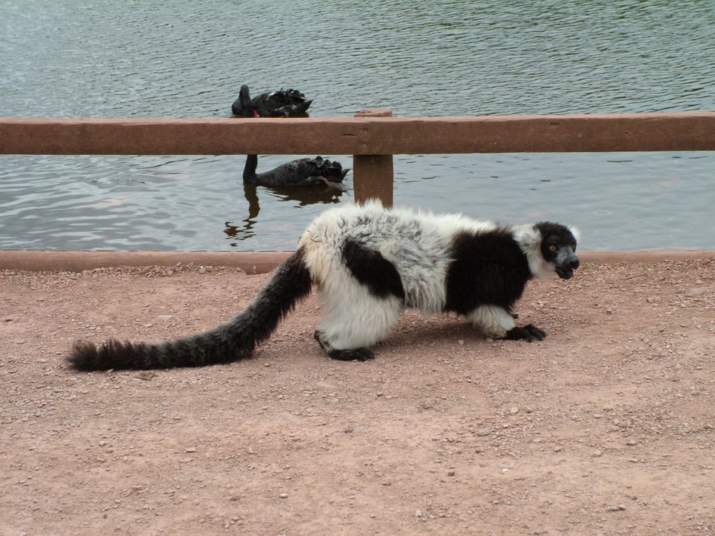 Click now to see this image full size.