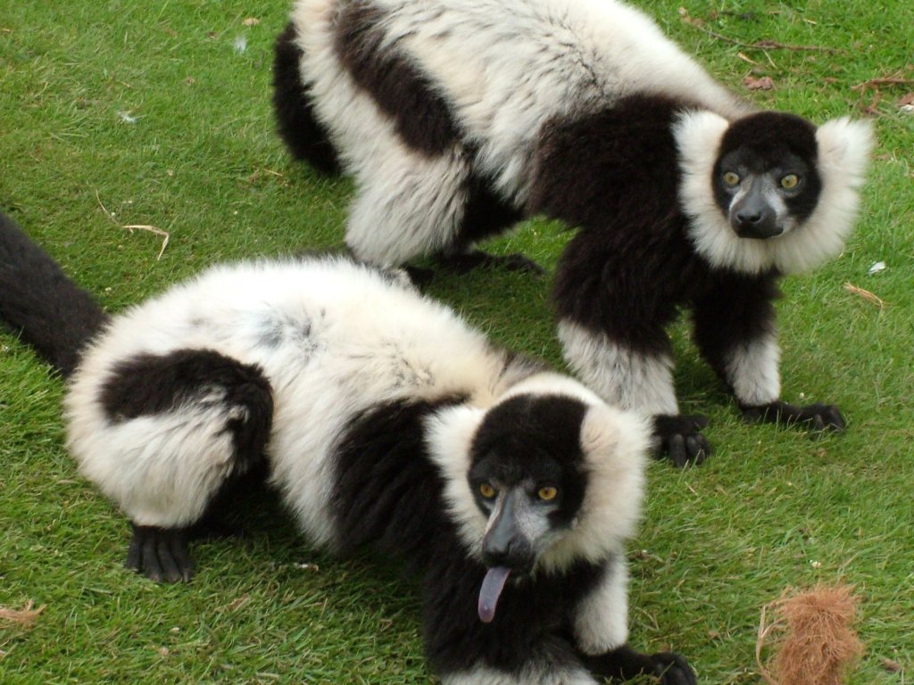 Click now to see this image full size.