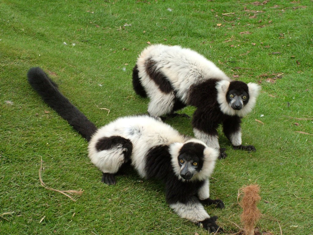 Click now to see this image full size.