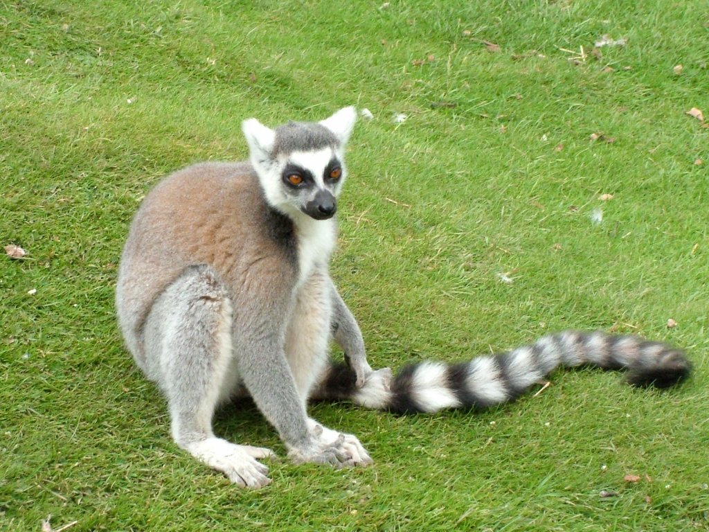 Click now to see this image full size.