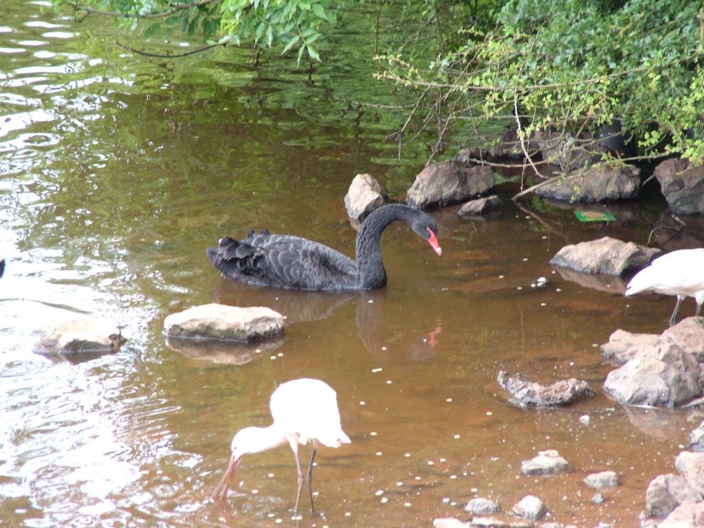 Click now to see this image full size.