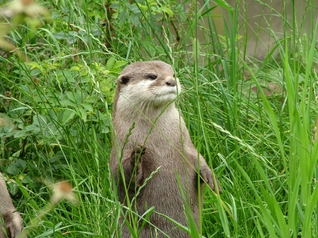 Click now to see this image full size.