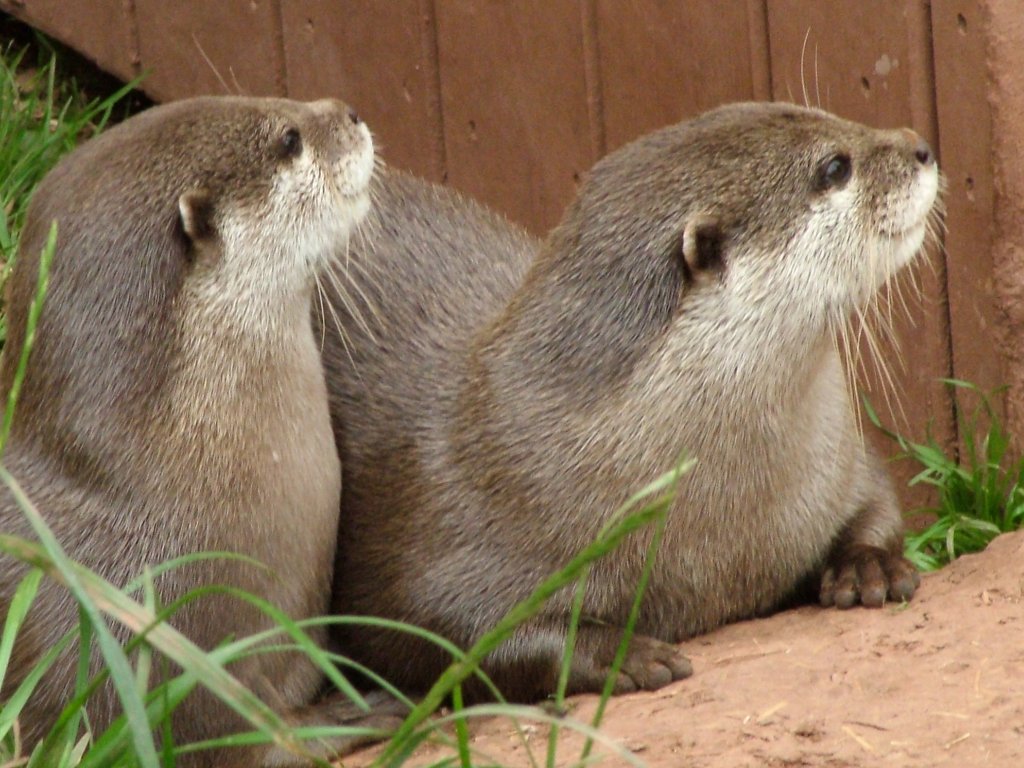 Click now to see this image full size.