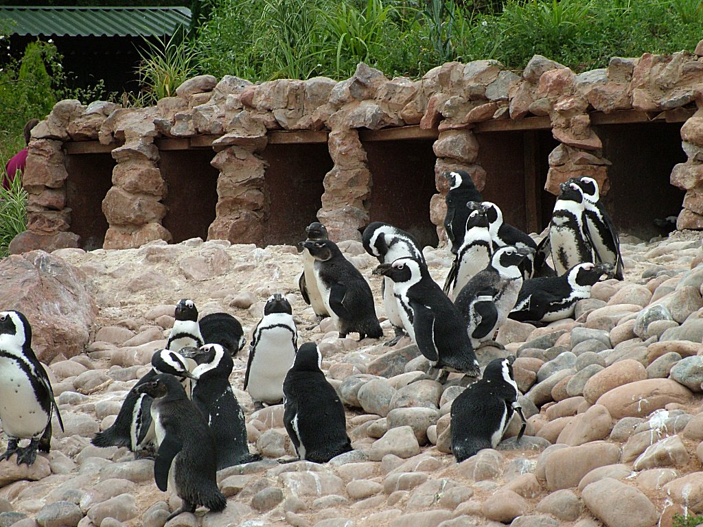 Click now to see this image full size.