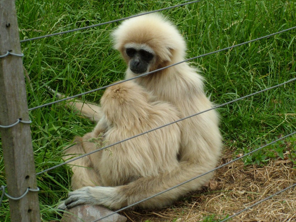 Click now to see this image full size.