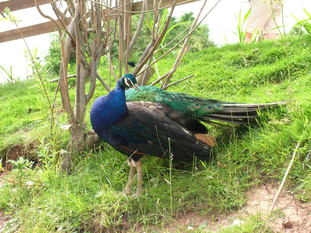 Click now to see this image full size.