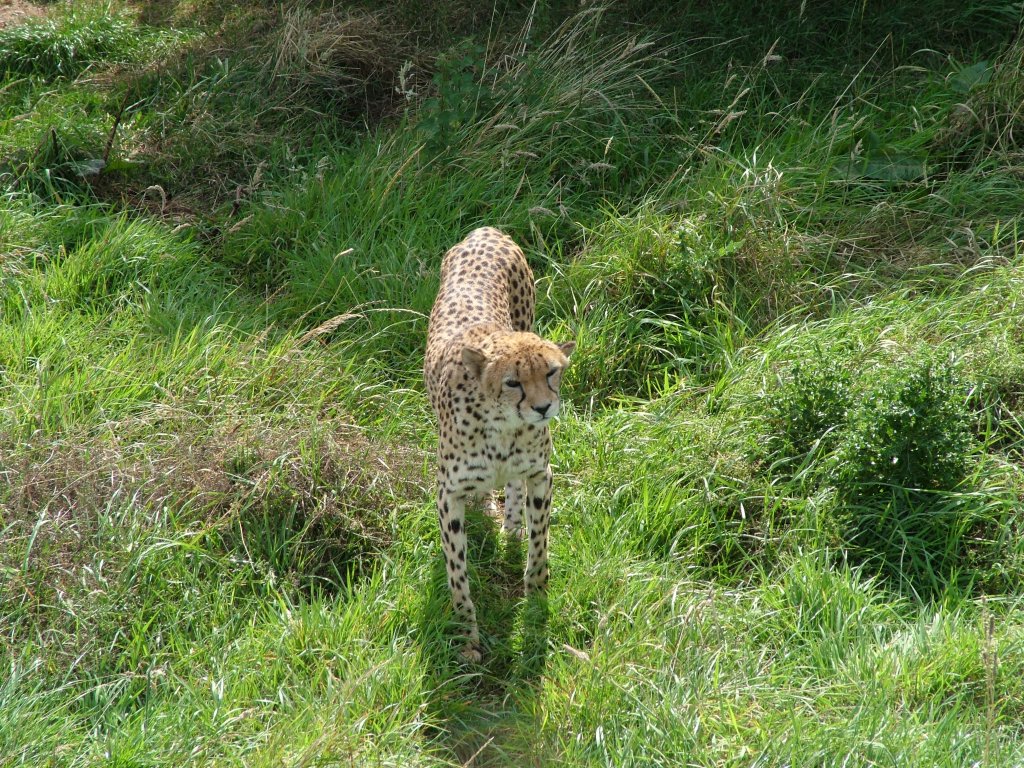 Click now to see this image full size.