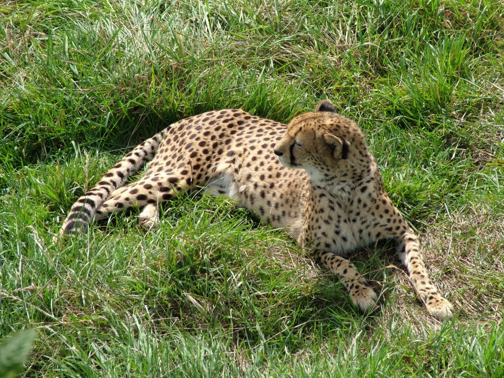 Click now to see this image full size.