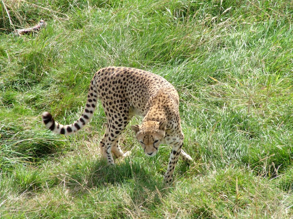 Click now to see this image full size.