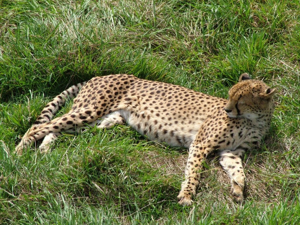 Click now to see this image full size.