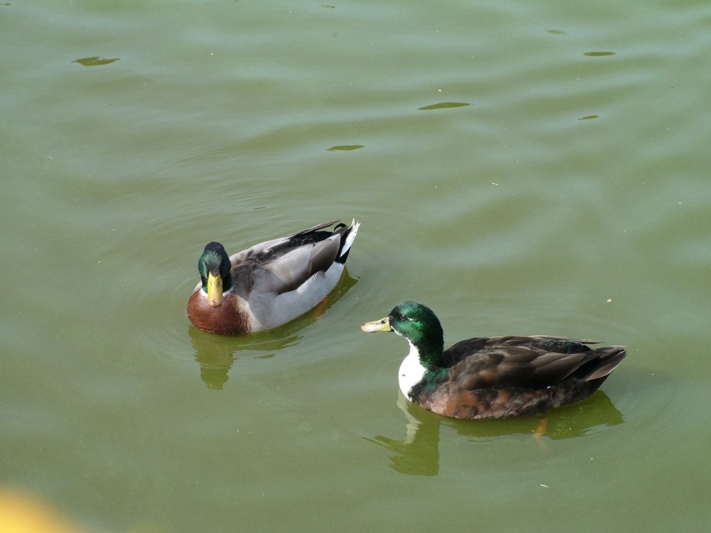 Click now to see this image full size.