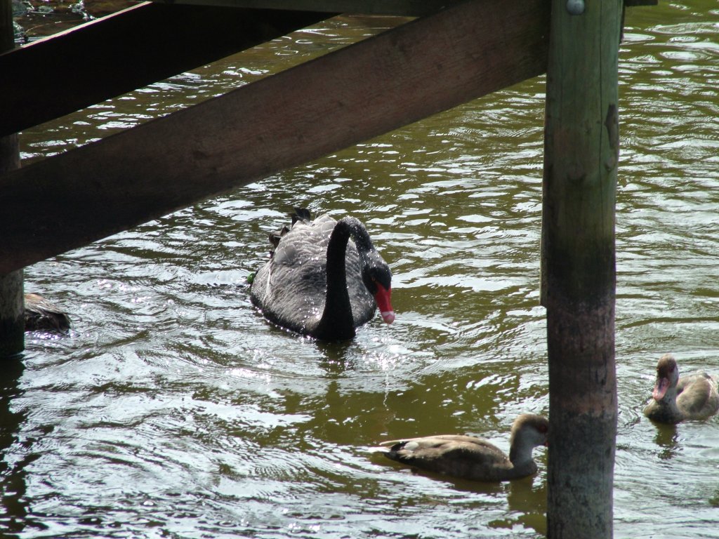 Click now to see this image full size.