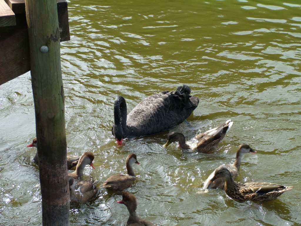 Click now to see this image full size.