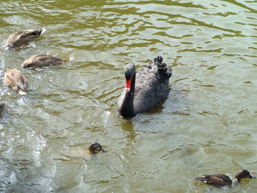 Click now to see this image full size.