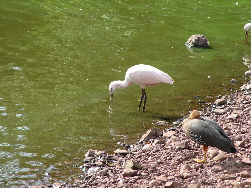 Click now to see this image full size.