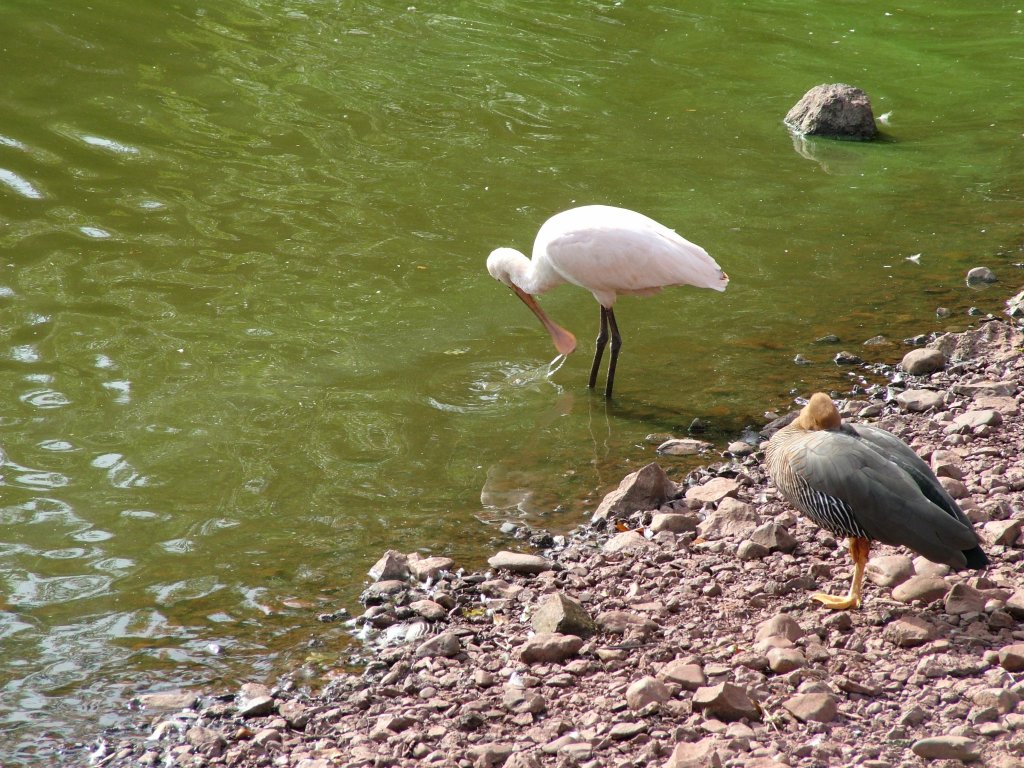 Click now to see this image full size.