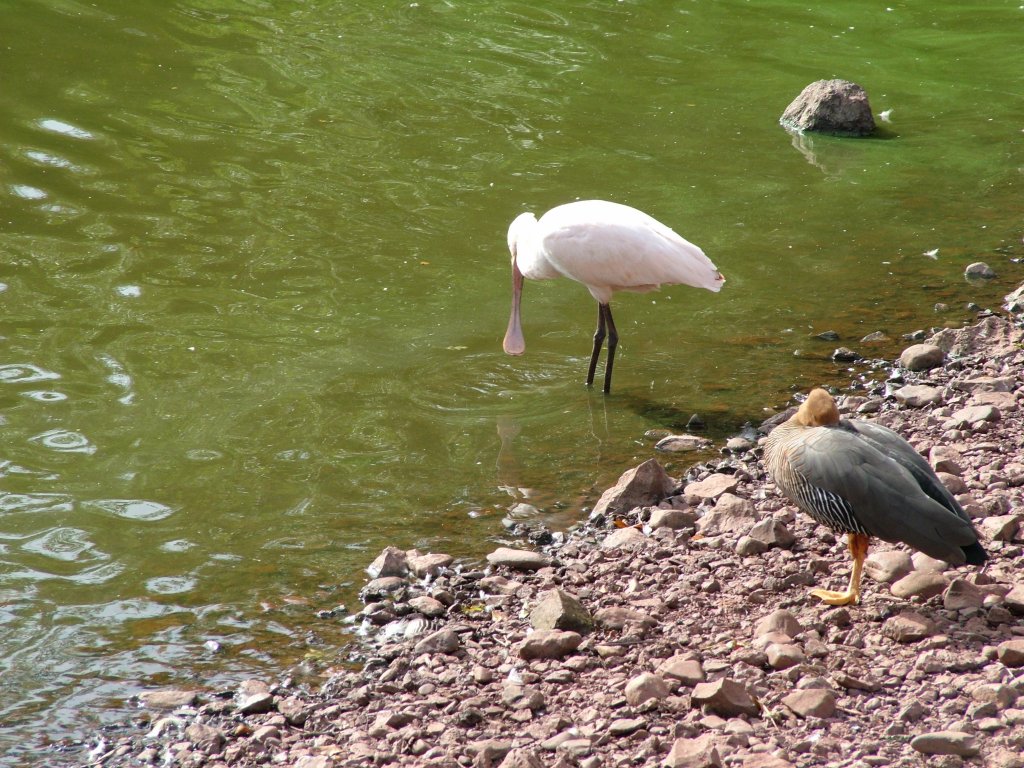 Click now to see this image full size.