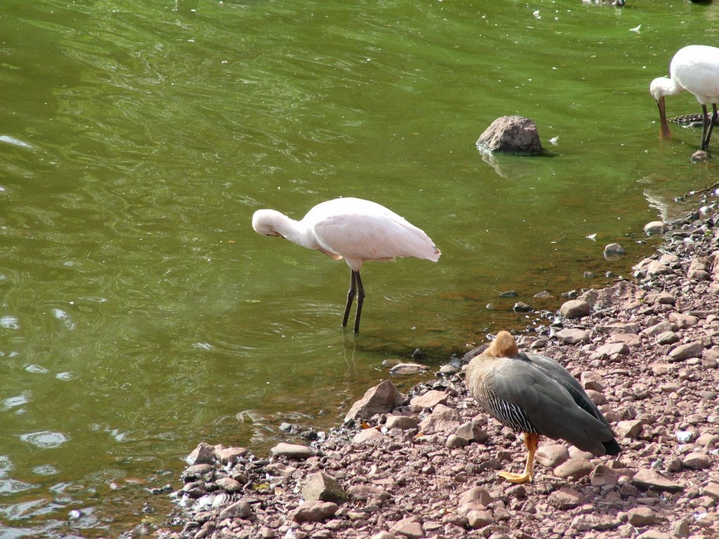 Click now to see this image full size.