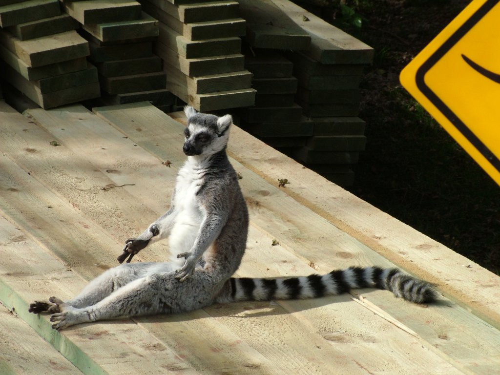 Click now to see this image full size.