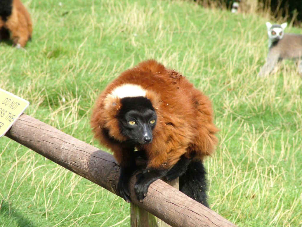 Click now to see this image full size.