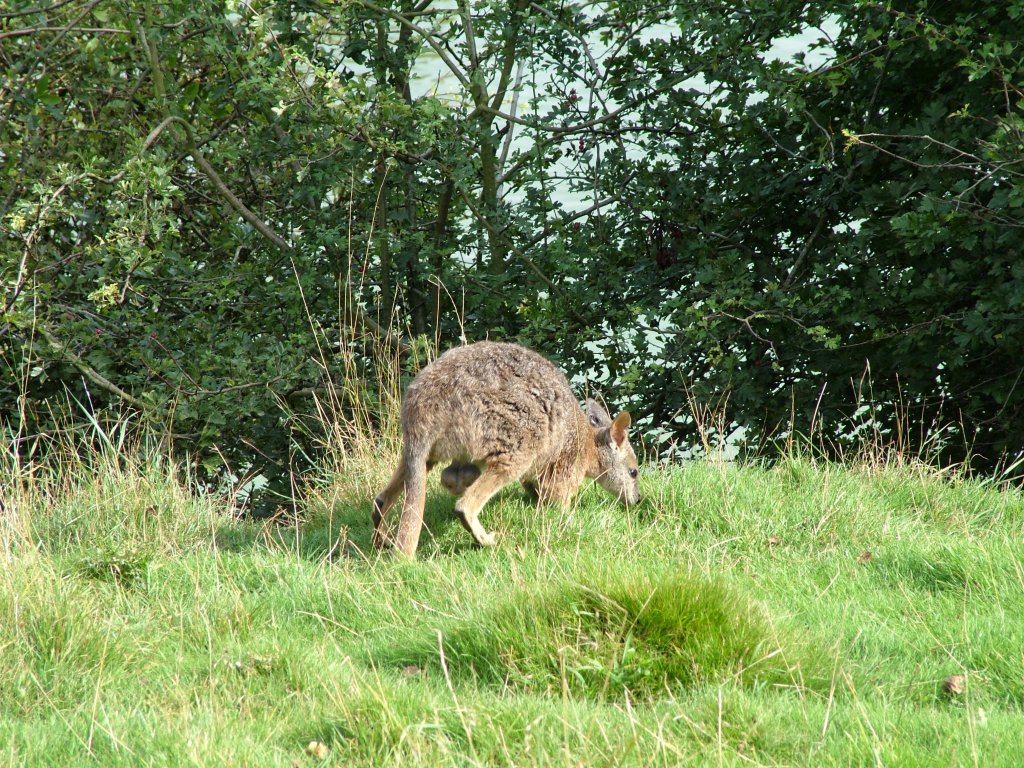 Click now to see this image full size.