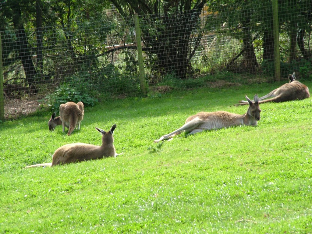 Click now to see this image full size.