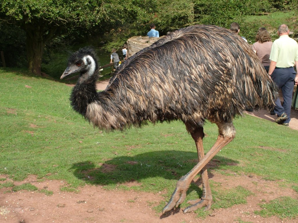 Click now to see this image full size.