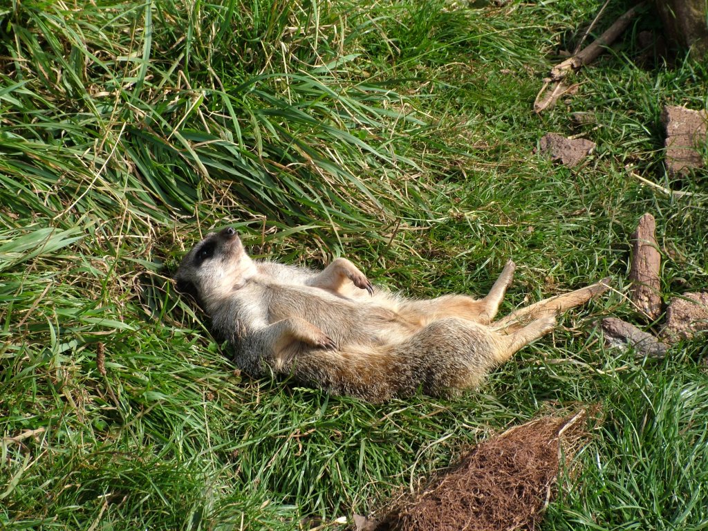 Click now to see this image full size.