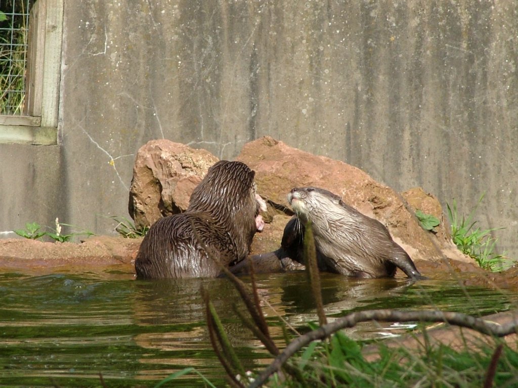 Click now to see this image full size.