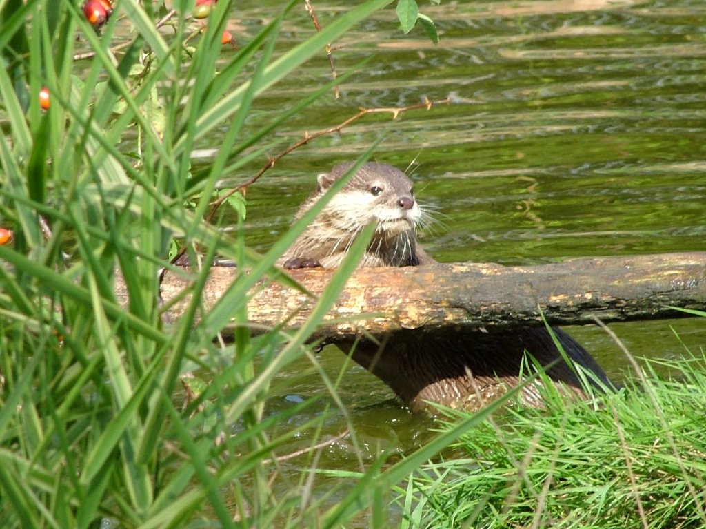 Click now to see this image full size.