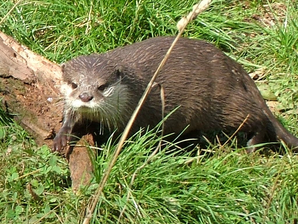 Click now to see this image full size.