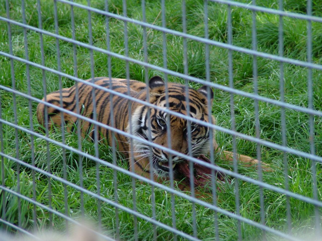 Click now to see this image full size.