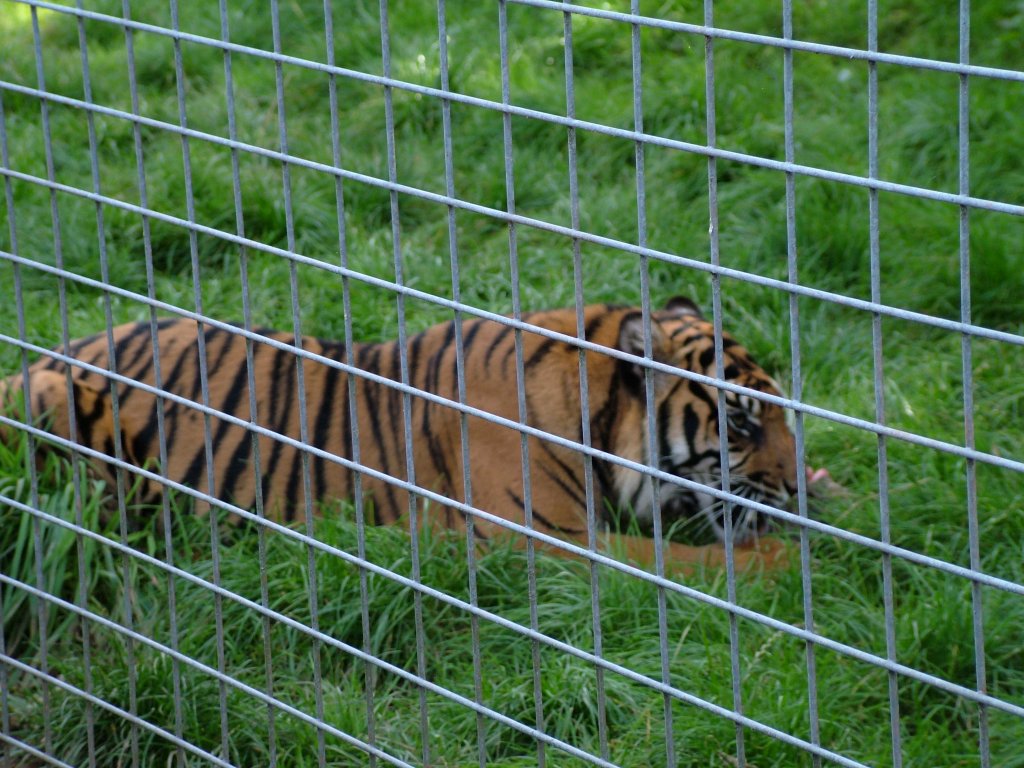 Click now to see this image full size.