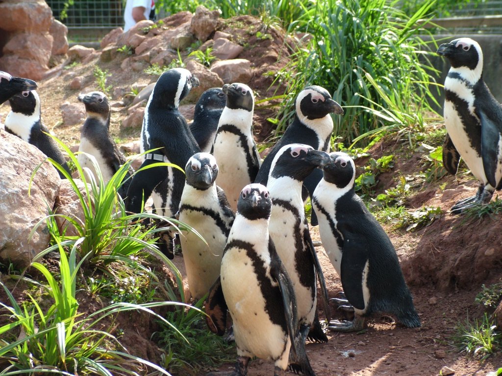 Click now to see this image full size.